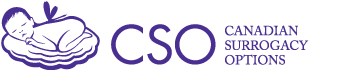 CSO Logo