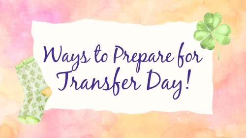 Ways-to-Prepare-for-Transfer-Day